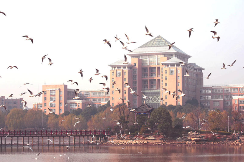 武汉科技大学校园风光3