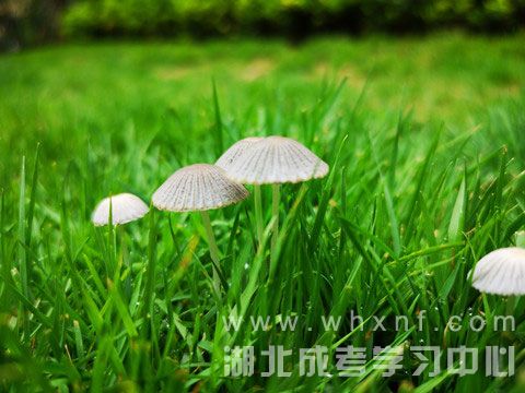 2020年湖北成考政治考试需记知识点