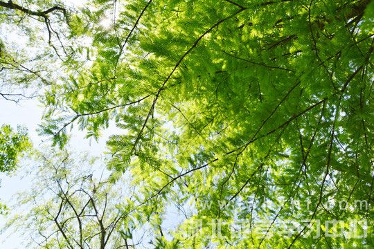 2020年湖北成考数学考试正确答题方式