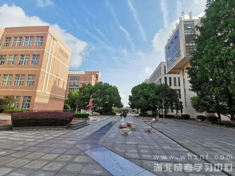 湖北工业大学-校园小道