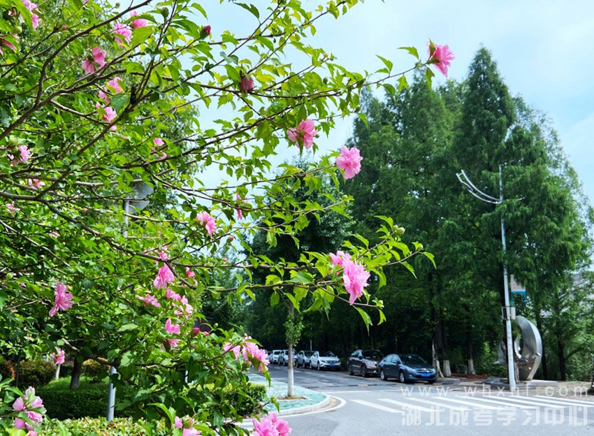 湖北工业大学校园