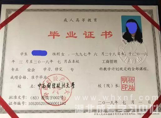 中南财经政法大学成教专科毕业证